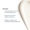 Aquaporin Hydrating Cream - Image 3